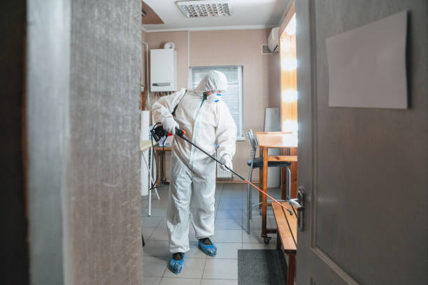Best Basement Mold Removal  in Battle Creek, MI