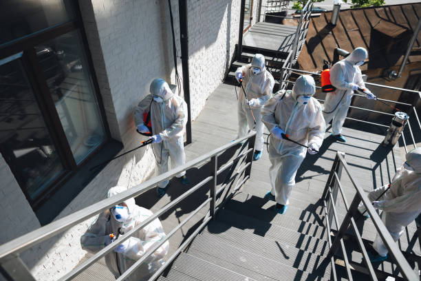 Best Crawl Space Mold Remediation  in Battle Creek, MI