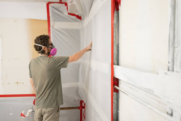  Battle Creek, MI Mold Removal Pros