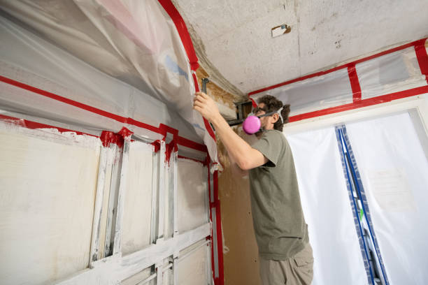 Best Mold Remediation for Healthcare Facilities  in Battle Creek, MI