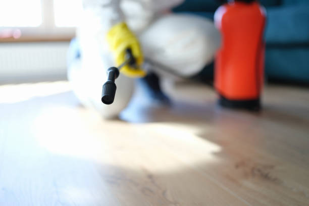 Best Mold Removal for HVAC Installations  in Battle Creek, MI