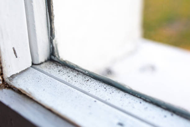 Best Biohazard Mold Removal  in Battle Creek, MI