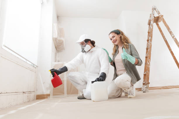 Best Mold Documentation for Insurance Claims  in Battle Creek, MI