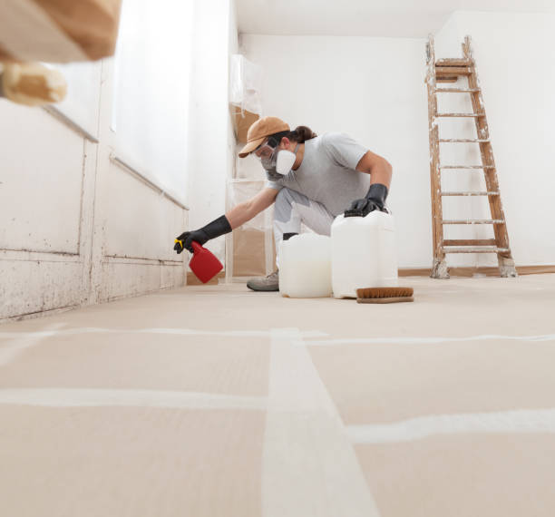 Best Airborne Mold Testing  in Battle Creek, MI