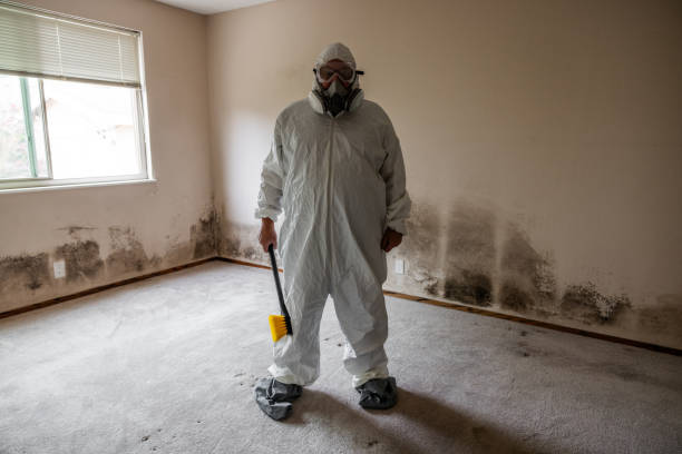 Biohazard Mold Removal in Battle Creek, MI