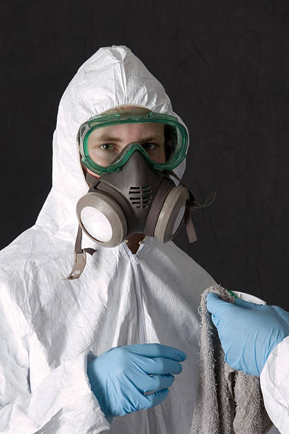 Best Commercial Mold Inspection  in Battle Creek, MI